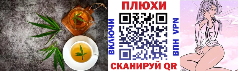 Canna-Cookies конопля Орлов