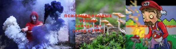 дживик Аркадак