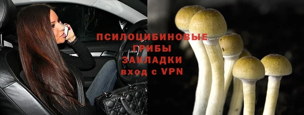 дживик Аркадак