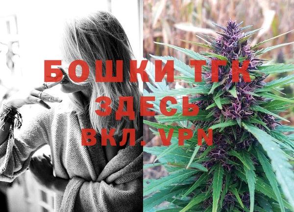 винт Арсеньев