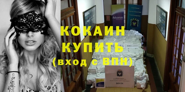 дживик Аркадак